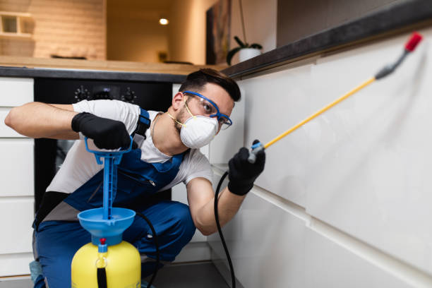 Professional Pest Control in Van, TX