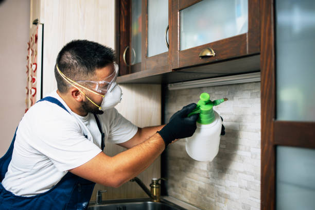 Best Pest Control Near Me  in Van, TX