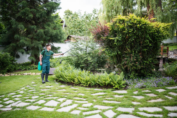 Best Mosquito Control Services  in Van, TX
