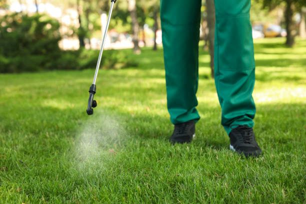 Best Pest Prevention Services  in Van, TX