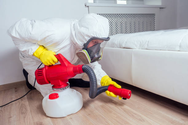 Best Emergency Pest Control  in Van, TX
