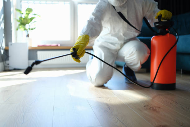 Best Best Pest Control Companies  in Van, TX