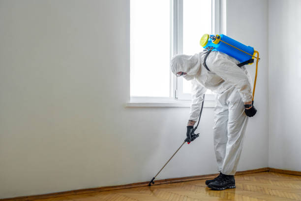 Best Best Pest Control Companies  in Van, TX