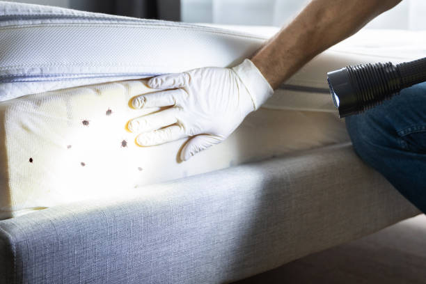 Pest Control for Restaurants in Van, TX