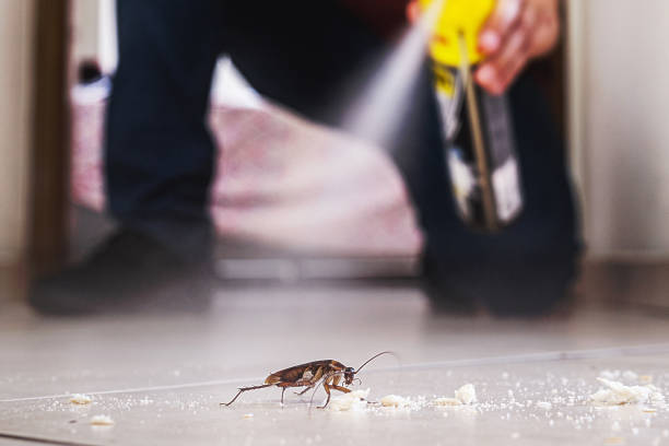  Van, TX Pest Control Pros