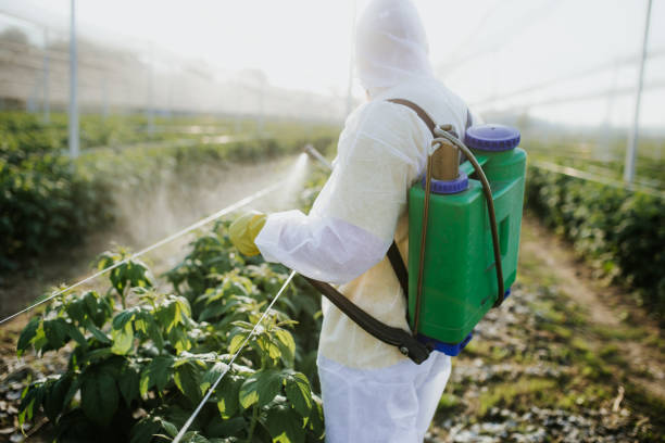 Best Pest Control Treatment  in Van, TX